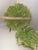 1990s Vintage Fitz Floyd Majolica Green Cabbage Leaf Serving Platter Plates-Set of 7 For Sale - Image 5 of 6