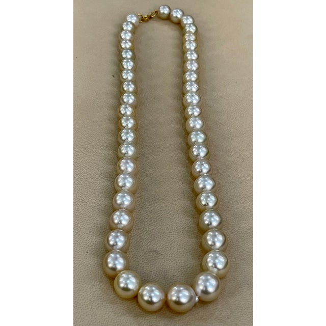 Graduating Cream Color South Sea Pearls Necklace 14 Karat Yellow Gold Clasp For Sale - Image 16 of 18