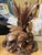 Late 20th Century Late 20th Century Monumental Hand-Carved Solid Wood Marsh Wildlife Sculpture With Original Shipping Crate For Sale - Image 5 of 10