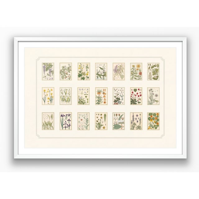 Atelier Aria Lumae Eugene Grasset Maurice Pillard Verneuil Art Nouveau Botanical Specimen Grid Board Print 60 X 40 For Sale - Image 10 of 17