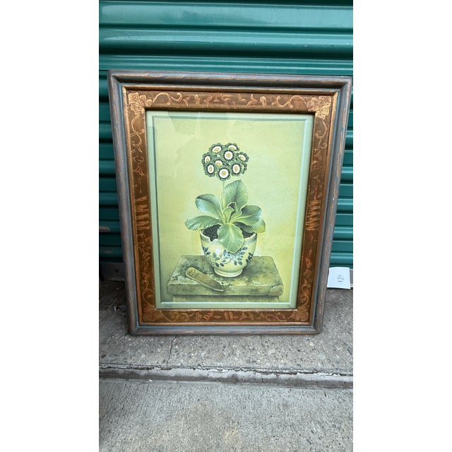 Set of 5 Stunning Botanical Framed Prints Signed and Numbered For Sale - Image 14 of 18