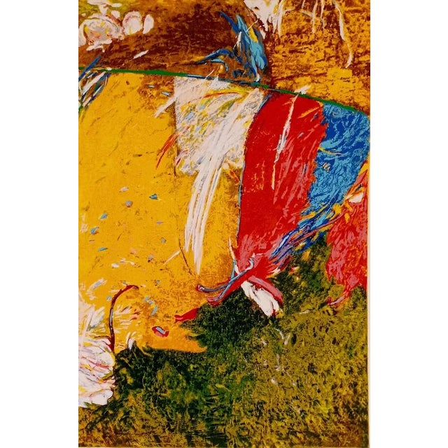 Gianni dova cascata 1991 50x35 cm color screen printing signed and numbered in pencil by the artist on the front n./80 es....