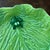 Vintage French Py Green Ceramic Lily Pad Decorative Plate For Sale - Image 4 of 5