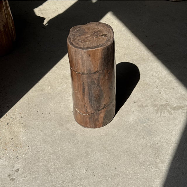 Side Table in Brown Petrified Wood, 1980s For Sale - Image 13 of 18
