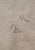 5 Edelman Leather Hides For Sale In Palm Springs - Image 6 of 9