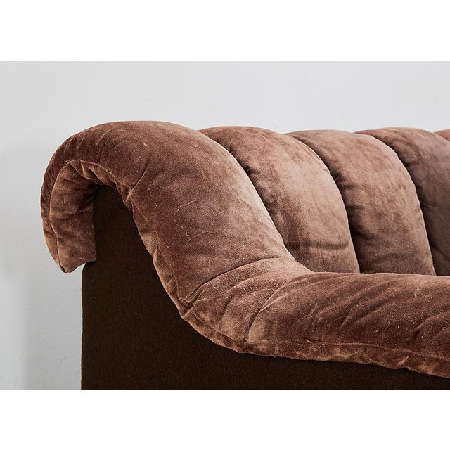 DS-600 Snake Sofa by Ueli Berger for de Sede, Switzerland, 1970s, Set of 22 For Sale - Image 13 of 15