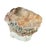 Natural Petrified Wood Specimen #4 For Sale In Tampa - Image 6 of 9