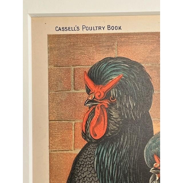Pair 1872 Vintage Lithos, - Hens + Cocks Reproduction For Sale - Image 4 of 8