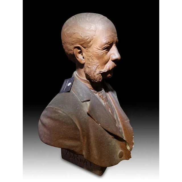 Pair of 19th century busts. These are 2 19th century Gesso painted busts of 2 archaeologists of the period. Measurements:...