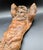 19th Century Hand-Carved Walnut Architectural/Decorative Atlas Corbel For Sale In Portland, OR - Image 6 of 12