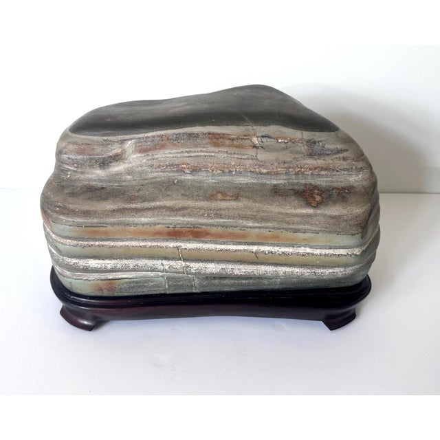 Chinese Scholar Stone Caitao Rock on Display Stand For Sale - Image 15 of 18