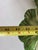1940s Brad Keeler Lobster Cabbage Dish For Sale - Image 10 of 11