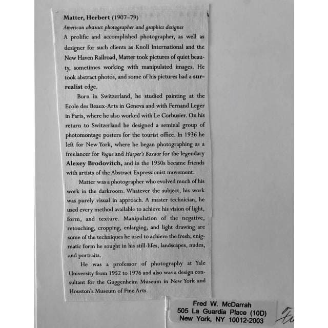 Printmaking Materials Fred McDarrah, Vintage Signed Silver Gelatin Photograph Jasper Johns Exhibit Photo Whitney Mus, 1978 For Sale - Image 7 of 9