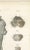 Paper Hirschfeld and Leveille, Spinal Cord and Its Serial Sections, Hirschfeld Double Folding Plate, 1866, Paper For Sale - Image 7 of 12
