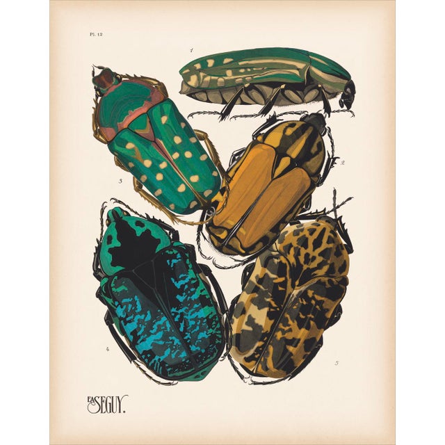 Insects Plate 12 Giclee Reproduction Art Print After Emile Allain Séguy For Sale