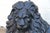 Victorian 19th Century Antique English Cast Iron Lion Fireplace Andirons | Pair | Victorian Hearth Decor For Sale - Image 3 of 18