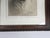 English Antique Elizabeth Norton Young Bull Signed Etching For Sale - Image 3 of 4