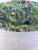 19th Century Majolica Palissy Snake Wall Platter For Sale - Image 4 of 7