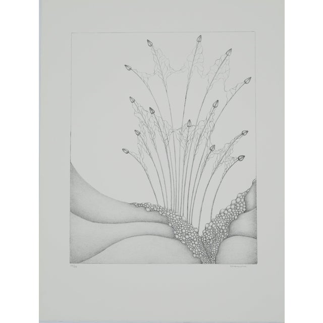 Gochka Charewicz, Petits bourgeons, Lithograph For Sale - Image 9 of 9