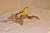 American Nc Hand-Carving of a Finch Mounted on Driftwood, Circa 1960's For Sale - Image 3 of 7