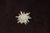 Edelweiss jewelry Pin Star Sun brooch Firework Art Deco Metal, rhinestones. Dimensions: Height 0.3" / 1 cm Width 3.9" / 5...