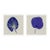 Condado Fan and Agua Dalla Fan by Susan Hable For Sale