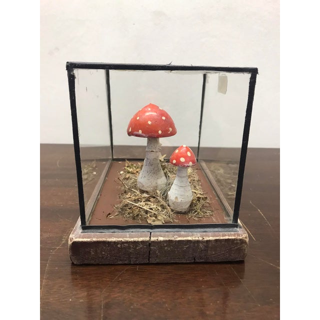 Wooden Mushrooms in Glass Dome, 1950s For Sale - Image 4 of 6