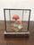 Wooden Mushrooms in Glass Dome, 1950s For Sale - Image 4 of 6
