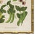 2020s Contemporary Reproduction of Vintage Vegetables (6) Art Print, Framed For Sale - Image 5 of 6