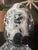 1980s Pair of EggPair of Polished Stone Eggs – Caribbean Calcite & Zebra Jasper For Sale - Image 5 of 11