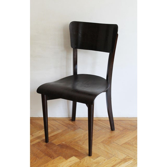 H-353 Chairs attributed to Jindřich Halabala for UP Brno, 1930s, Set of 2 For Sale - Image 14 of 16