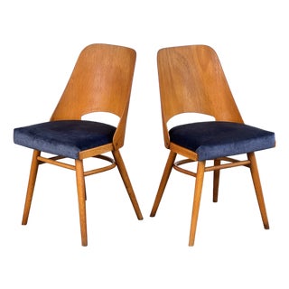 Mid-Century Modern Dining Chairs by Radomír Hofman for Ton, 1960s, Set of 2 For Sale