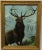 This early 20th-century oil painting captures the powerful and majestic presence of this magnificent animal, standing...
