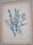 1900 - 1909 1900s Pair of Floral Engraving Prints Artwork For Sale - Image 5 of 14