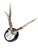 Roe Deer Trophy 206 Black Forest Antlers Mount
