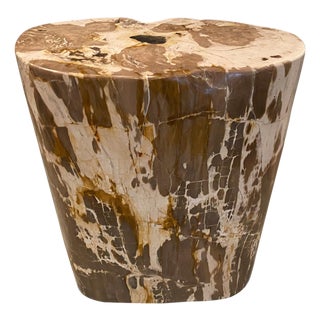 Andrianna Shamaris Ancient Petrified Wood Side Table For Sale