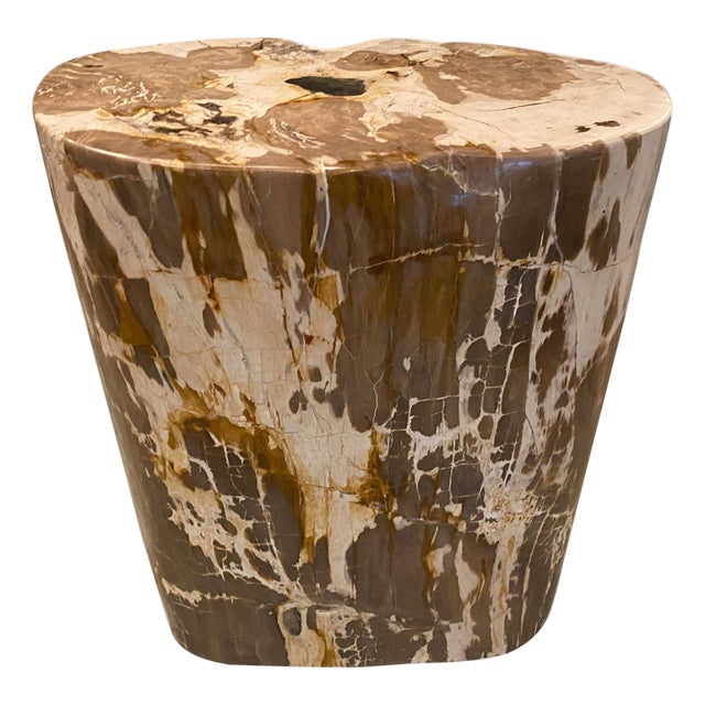 Andrianna Shamaris Ancient Petrified Wood Side Table For Sale