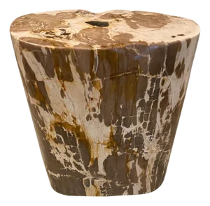 Andrianna Shamaris Ancient Petrified Wood Side Table