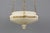 French Neoclassical Style White Alabaster, Gilt Bronze and Brass Pendant Light, 1890s For Sale - Image 9 of 18