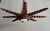 Vintage Spanish Colonial Starburst Ceiling Lamp, 1940s For Sale - Image 6 of 10