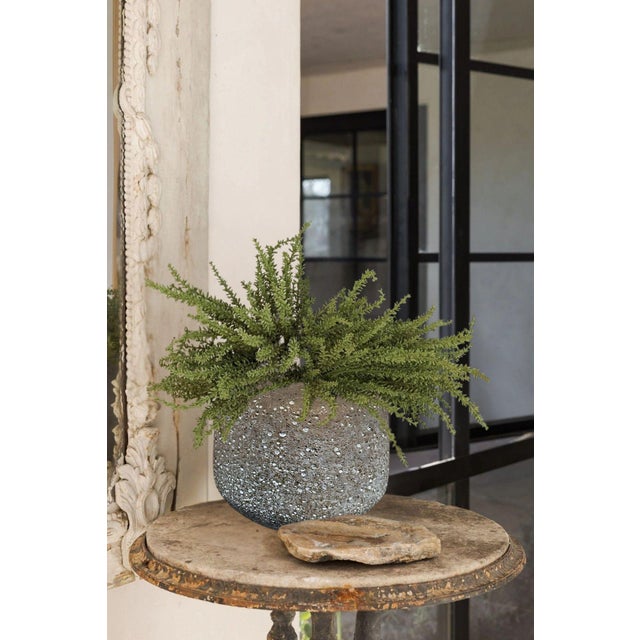 Gorgeous decor vase that highlights the raw, organic beauty of nature. Decorative Purposes Only