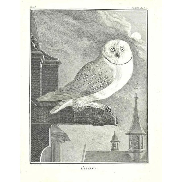 The frightening is an etching realized by Jean Charles Baquoy in 1771. Signed in flat. The Artwork Belongs to the Suite...