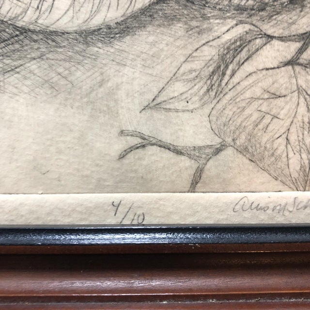 Contemporary Original Vintage Small Etching Apples & Vines Framed For Sale - Image 3 of 6