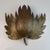 Mid-Century Modern Plane Tree Leaf Wall Sconce in Gilt Brass, 1950s For Sale - Image 10 of 10