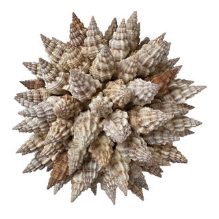 Triton Sea Shell Sculpture For Sale