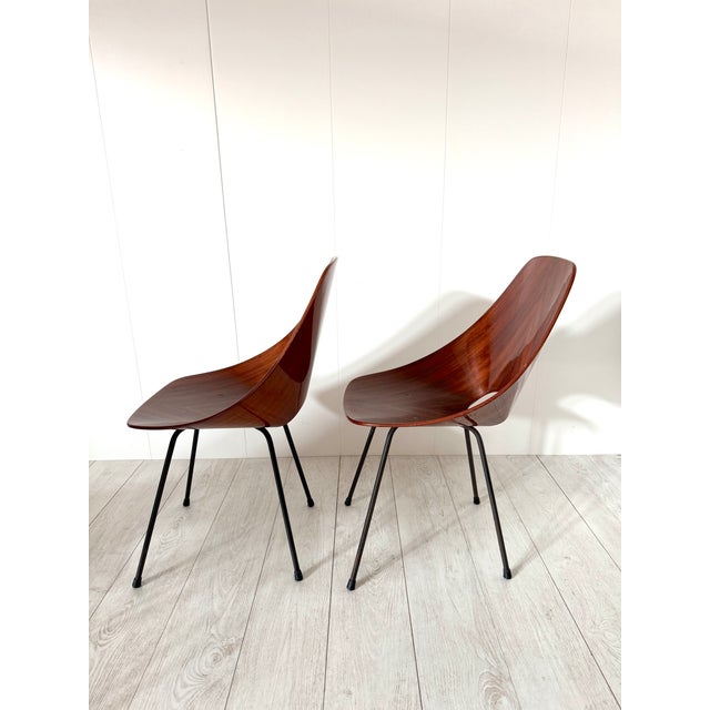Vintage Medea Chairs by Vittorio Nobili for Fratelli Tagliabue, 1950s, Set of 6 For Sale - Image 4 of 15
