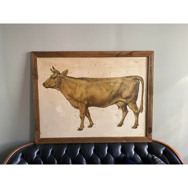 Mid 20th Century "Das Rind" German Cow Print, Framed For Sale - Image 4 of 4