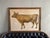 Mid 20th Century "Das Rind" German Cow Print, Framed For Sale - Image 4 of 4