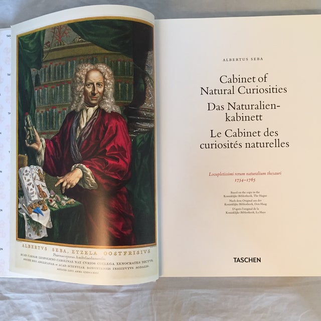 "Cabinet of Natural Curiosities" Book by Albertus Seba ...