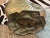 Vintage Large Scale Palm Beach Style Brass Nautilus Shell Planter For Sale - Image 17 of 17